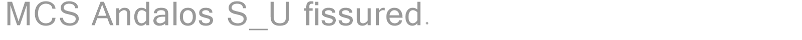 MCS Andalos S_U fissured. font preview